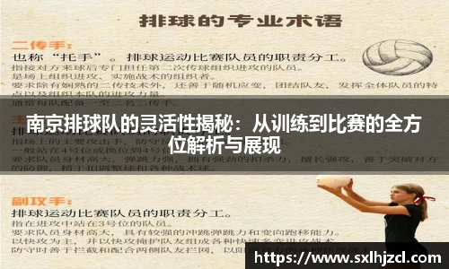 南京排球队的灵活性揭秘：从训练到比赛的全方位解析与展现