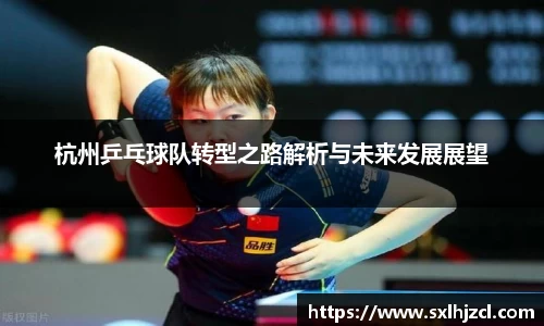 杭州乒乓球队转型之路解析与未来发展展望