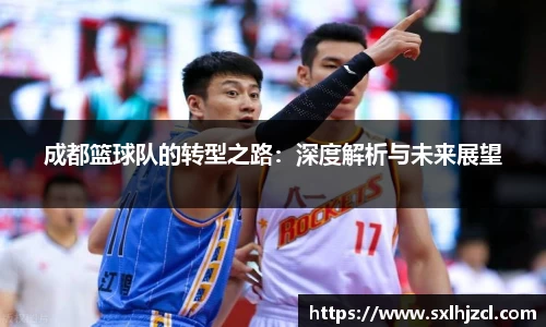 成都篮球队的转型之路：深度解析与未来展望